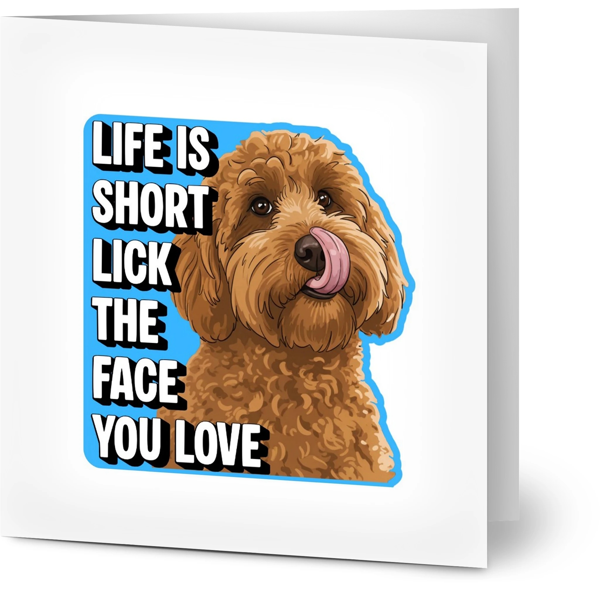 6a131893-3215-4a61-be1e-04237bb7cce5